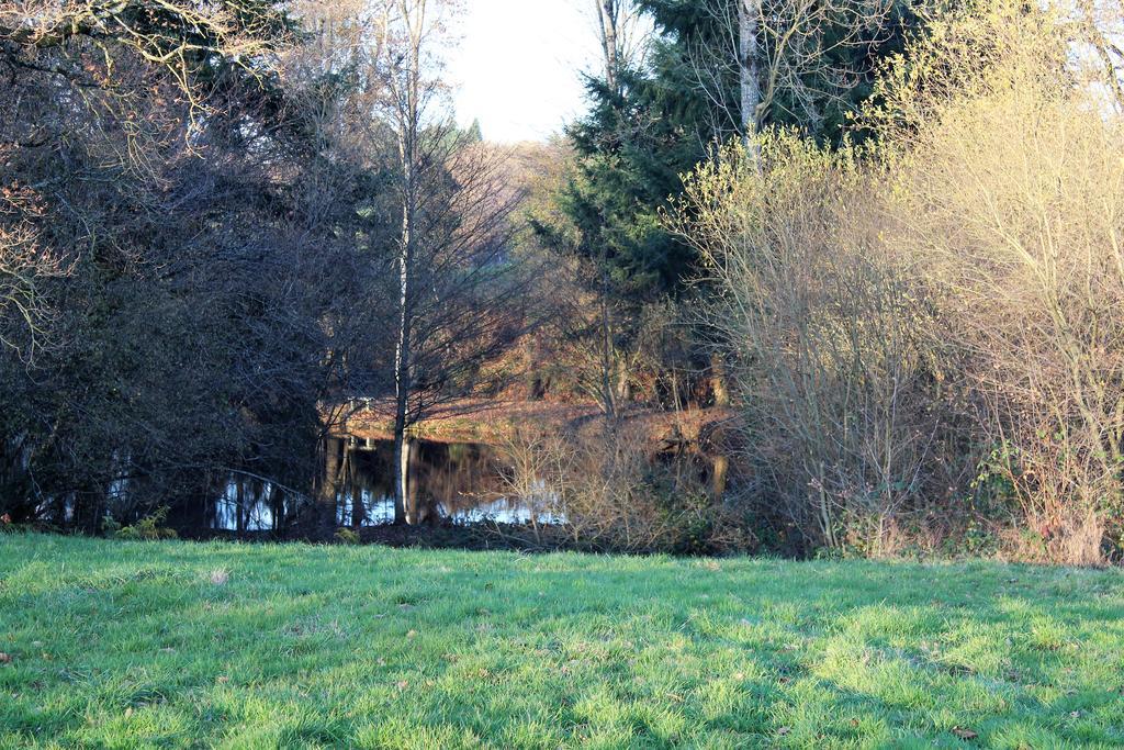 Villa La Petite Jeusseliniere à Larchamp Extérieur photo